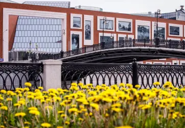 Изображение для карточки новости пресс-центра