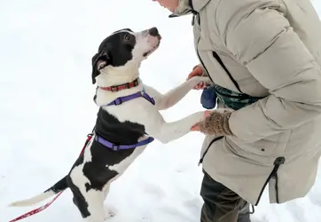 Изображение для карточки новости пресс-центра